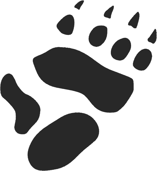 Paw